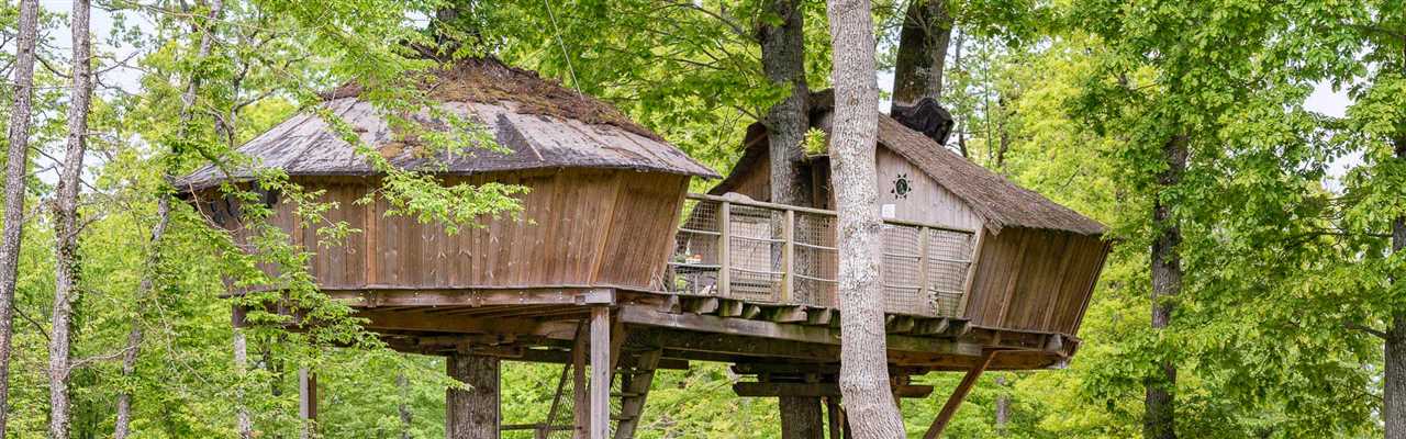 Comment choisir l'emplacement idéal pour une cabane dans les arbres