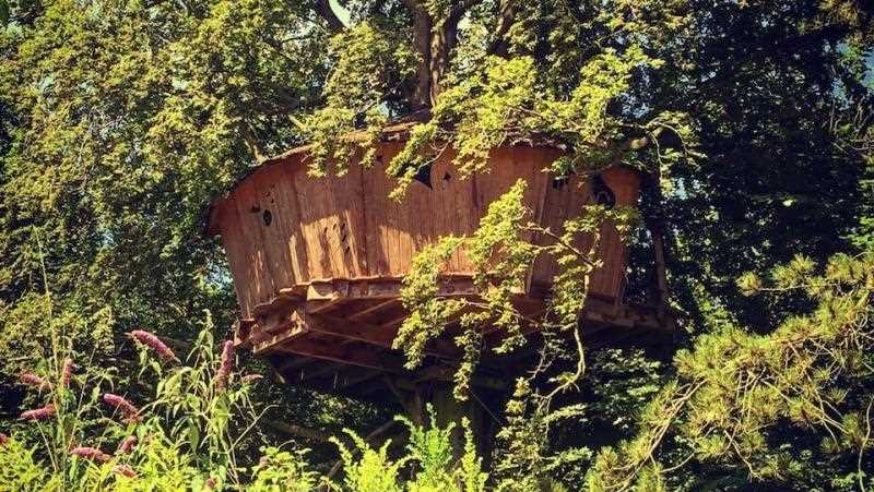 Conception et construction d'une cabane dans les arbres à Hesdin