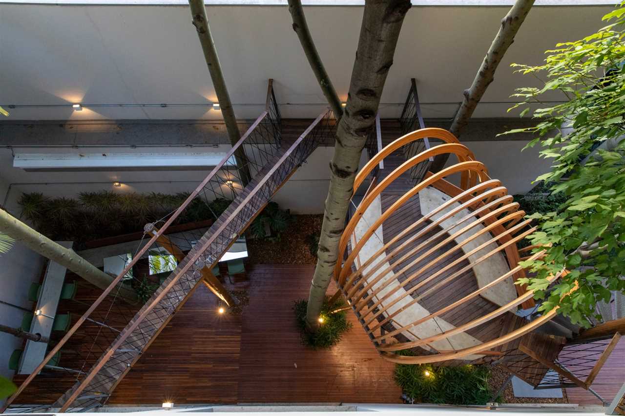 Les différents types d'escaliers pour les cabanes dans les arbres