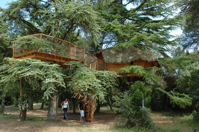 Profiter de la nature et de la tranquillité dans sa cabane dans les arbres à Castries