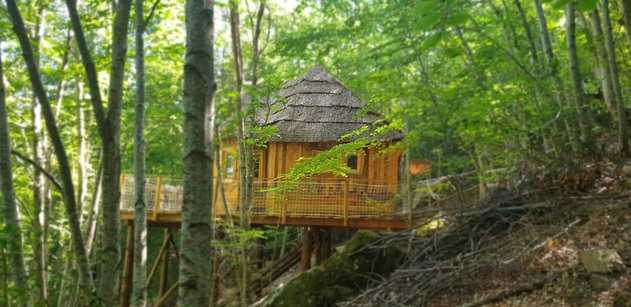 Les cabanes dans les arbres en Isère