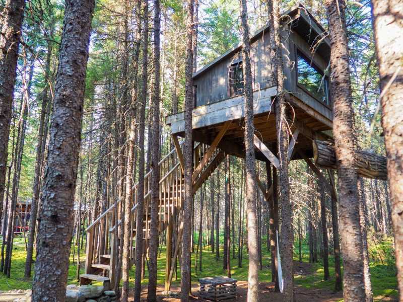 Les avantages d'une cabane dans les arbres
