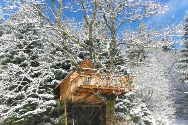 Les activités hivernales à apprécier proche des cabanes dans les arbres