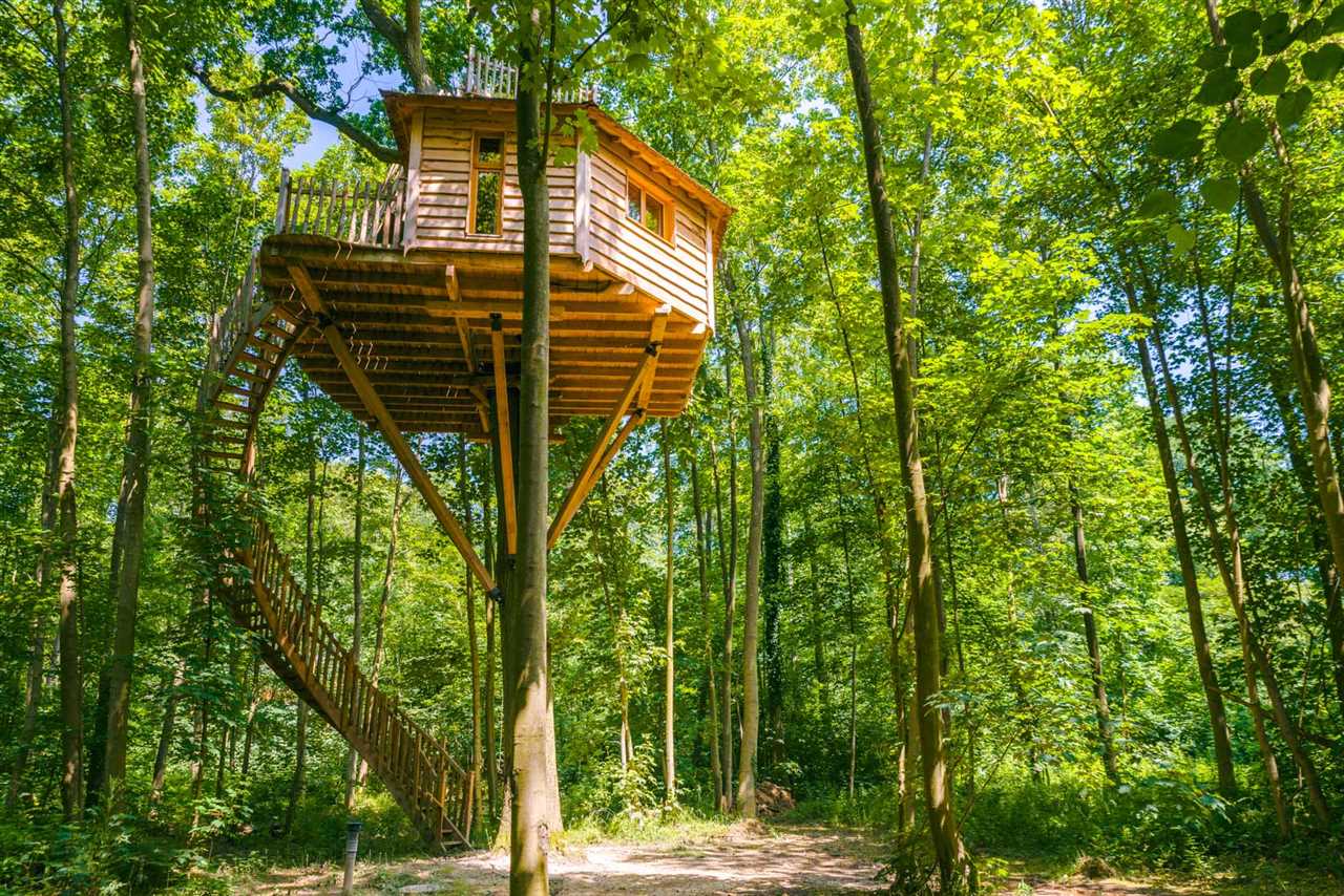 La drôme, un lieu idéal pour une cabane dans les arbres