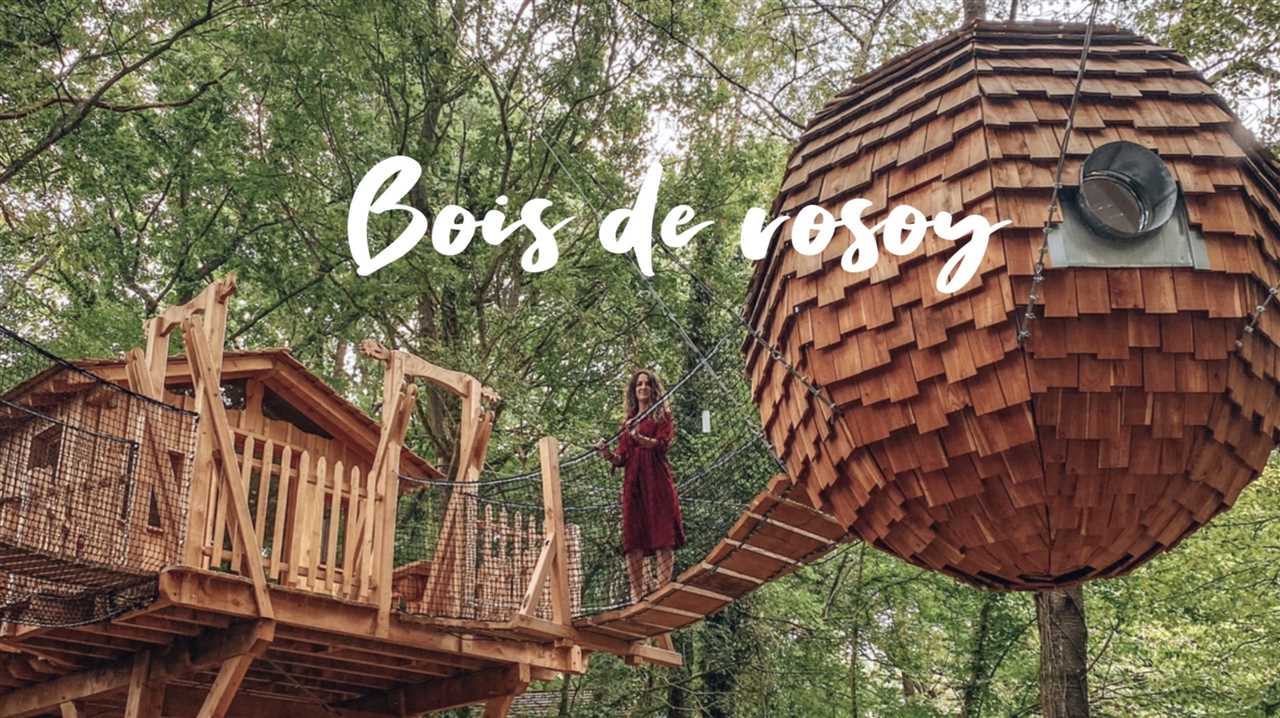 Les activités dans le bois de Rosoy