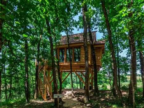 Les cabanes dans les arbres les plus populaires à Toulouse