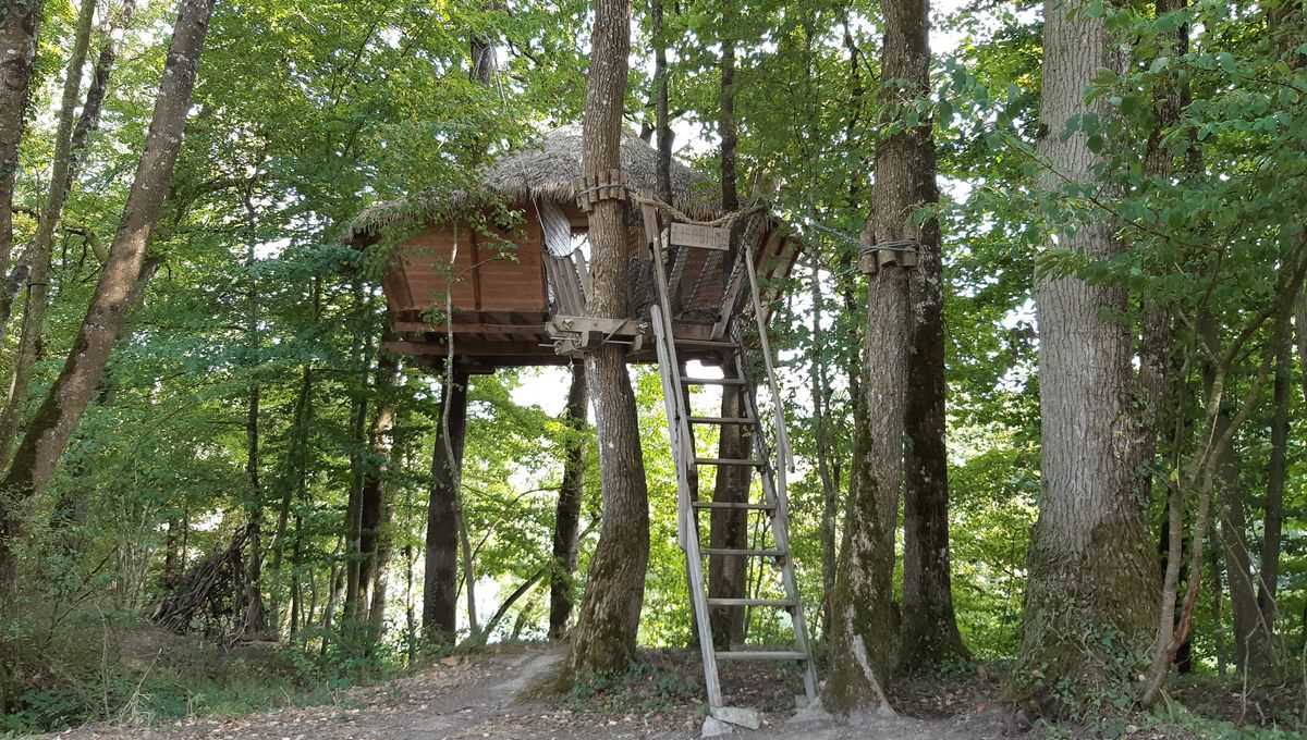 Cabane dans les arbres dans la région de Mayenne