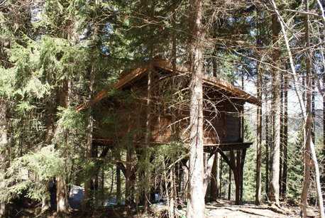 Les cabanes dans les arbres à Chamonix