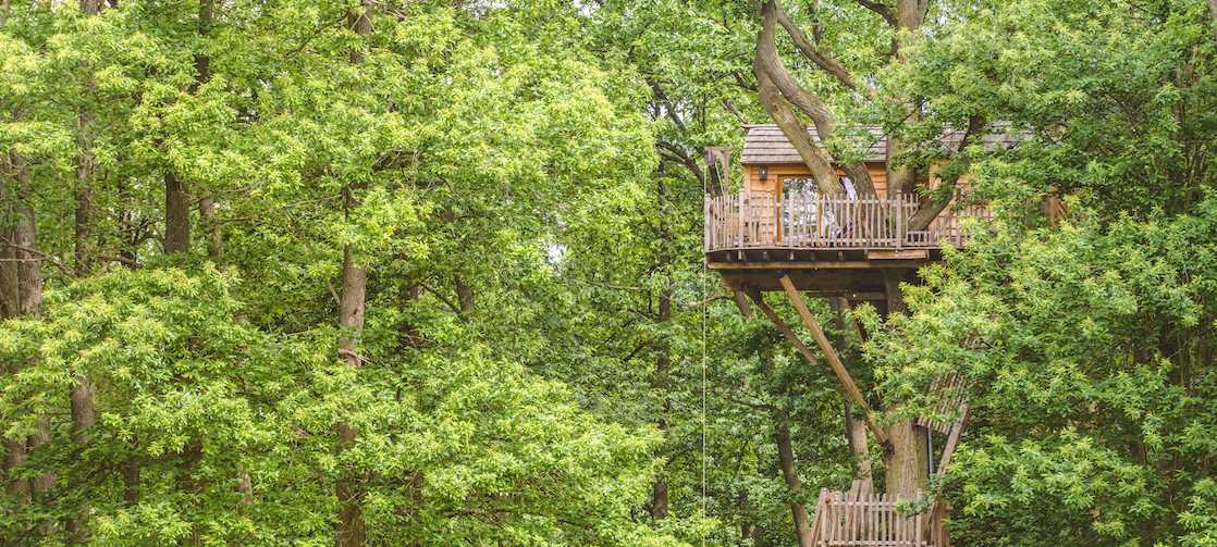 Les conseils pour rendre votre séjour dans une cabane dans les arbres inoubliable