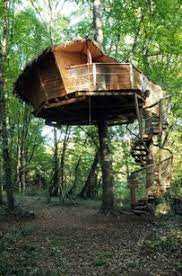 Les activités proposées dans les cabanes dans les arbres à Poitiers