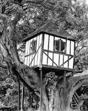 Histoire des cabanes dans les arbres