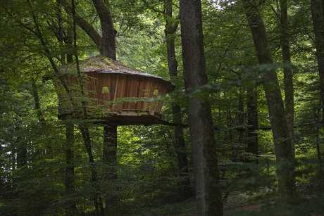 Les défis liés à la construction d'une cabane dans les arbres