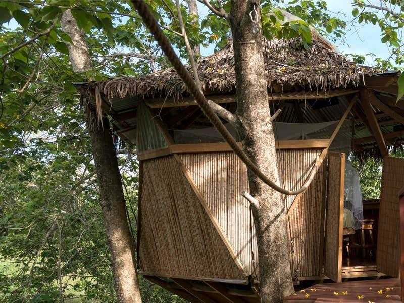 Comment réserver une cabane dans les arbres au Costa Rica