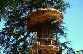 Choisir la meilleure cabane dans les arbres en Aude