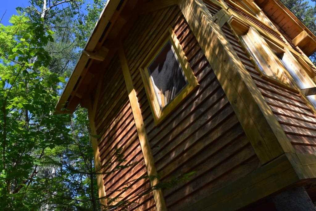 Les cabanes dans les arbres à Saguenay