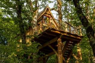 Les avantages d'un séjour en cabane dans les arbres
