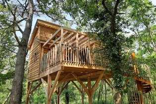 Les avantages d'un séjour en cabane dans les arbres :
