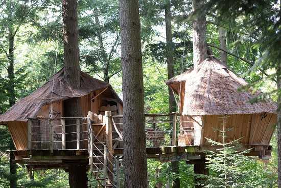 Les différents types de cabanes dans les arbres